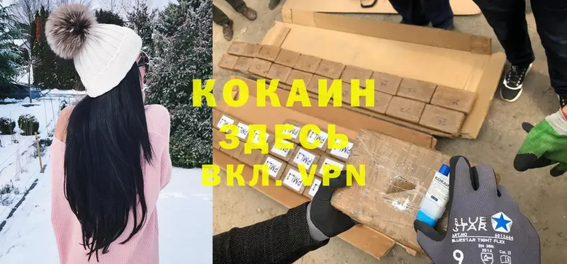 COCAIN FishScale  где купить   Кохма 